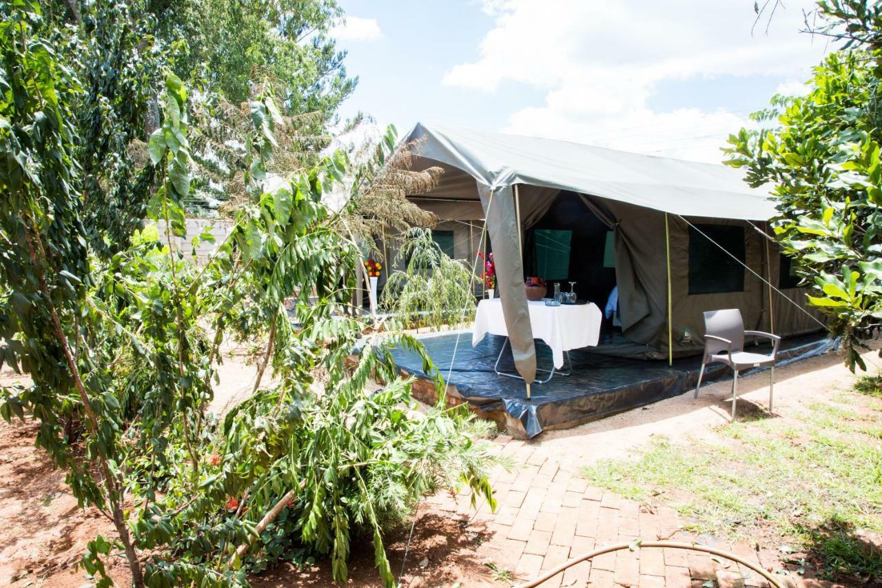 Mt Pleasant Bed And Breakfast Ltd Harare Eksteriør billede